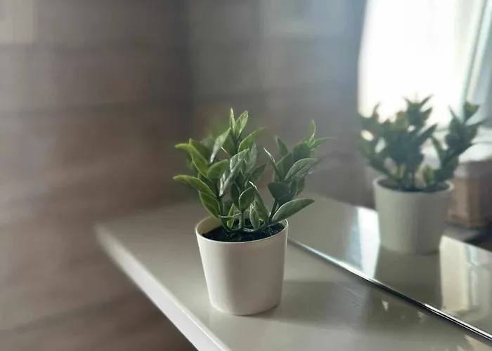 Three Lions Number 2 Lejlighed Pula