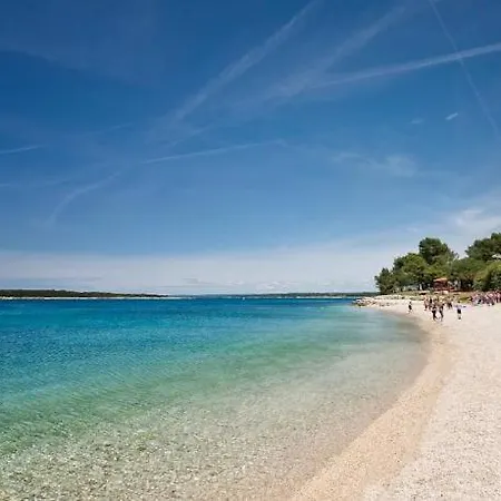 Three Lions Number 2