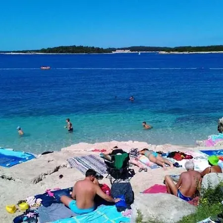 Three Lions Number 2 *