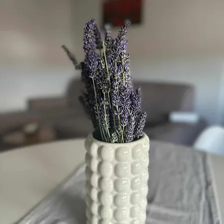 Apartment Three Lions Number 2 Pula