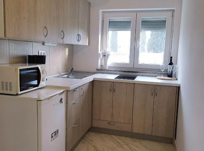 Apartment Three Lions Number 2 *