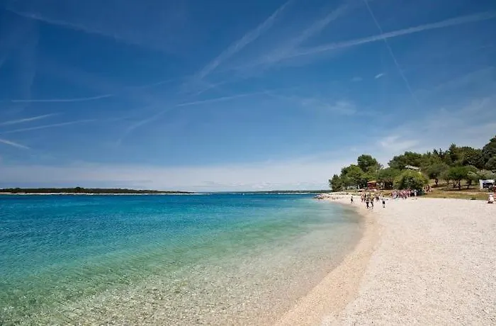 Three Lions Number 2