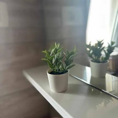 Three Lions Number 2 Appartement Pula