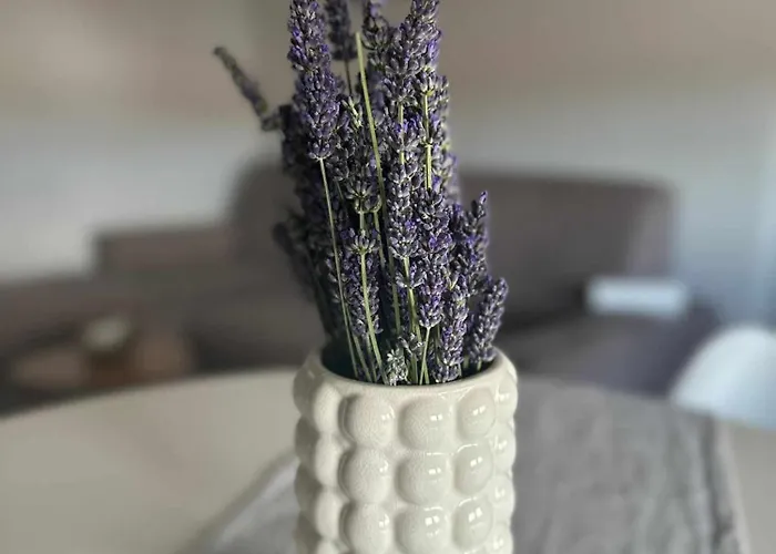 Apartamento Three Lions Number 2 Pula